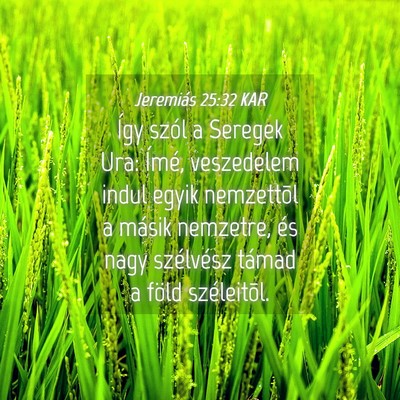 Picture 04 - Jeremiás 25:32 KAR - Így szól a Seregek Ura: Ímé, veszedelem indul - Bible Verse Picture