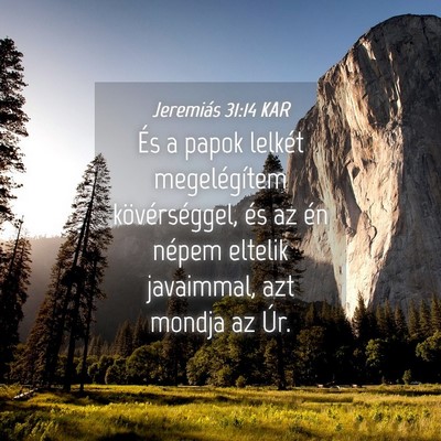 Picture 04 - Jeremiás 31:14 KAR - És a papok lelkét megelégítem kövérséggel, - Bible Verse Picture