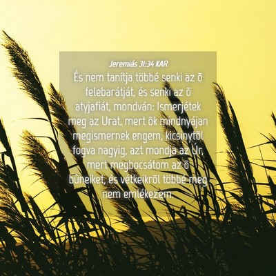 Picture 04 - Jeremiás 31:34 KAR - És nem tanítja többé senki az õ - Bible Verse Picture