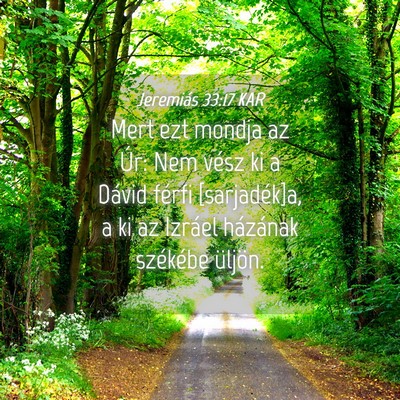 Picture 04 - Jeremiás 33:17 KAR - Mert ezt mondja az Úr: Nem vész ki a Dávid - Bible Verse Picture