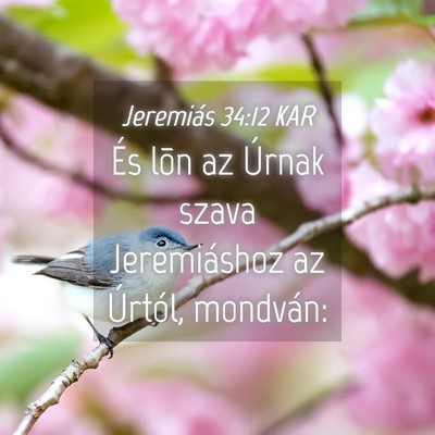 Picture 04 - Jeremiás 34:12 KAR - És lõn az Úrnak szava Jeremiáshoz az Úrtól, - Bible Verse Picture