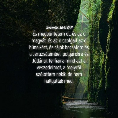 Picture 04 - Jeremiás 36:31 KAR - És megbüntetem õt, és az õ magvát, és az - Bible Verse Picture