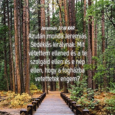 Picture 04 - Jeremiás 37:18 KAR - Azután monda Jeremiás Sedékiás királynak: - Bible Verse Picture