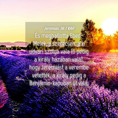 Picture 04 - Jeremiás 38:7 KAR - És meghallotta Ebed-Melek, a szerecsen, a ki - Bible Verse Picture
