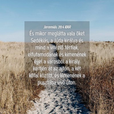 Picture 04 - Jeremiás 39:4 KAR - És mikor meglátta vala õket Sedékiás, a - Bible Verse Picture