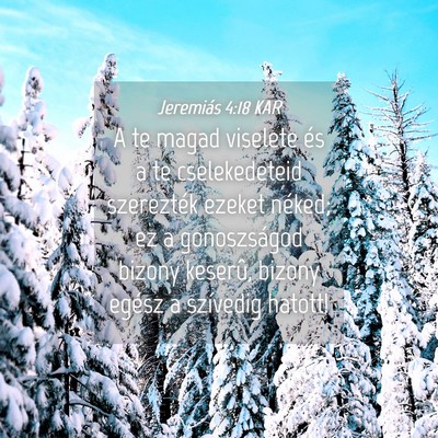 Picture 04 - Jeremiás 4:18 KAR - A te magad viselete és a te cselekedeteid - Bible Verse Picture