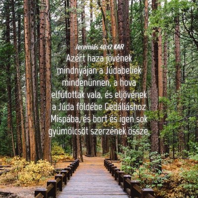 Picture 04 - Jeremiás 40:12 KAR - Azért haza jövének mindnyájan a Júdabeliek - Bible Verse Picture