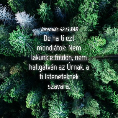 Picture 04 - Jeremiás 42:13 KAR - De ha ti ezt mondjátok: Nem lakunk e földön, - Bible Verse Picture