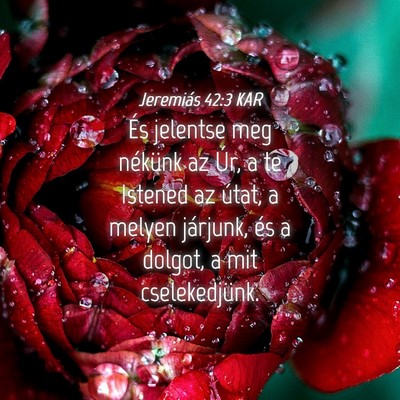 Picture 04 - Jeremiás 42:3 KAR - És jelentse meg nékünk az Úr, a te Istened az - Bible Verse Picture
