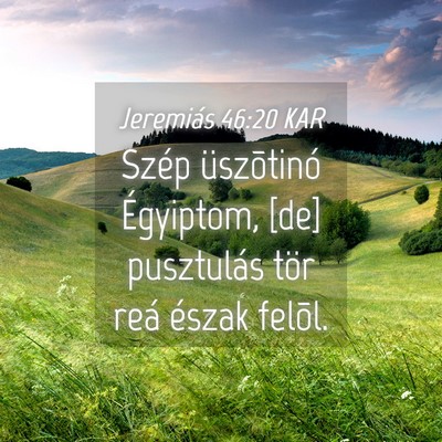 Picture 04 - Jeremiás 46:20 KAR - Szép üszõtinó Égyiptom, [de] pusztulás tör - Bible Verse Picture