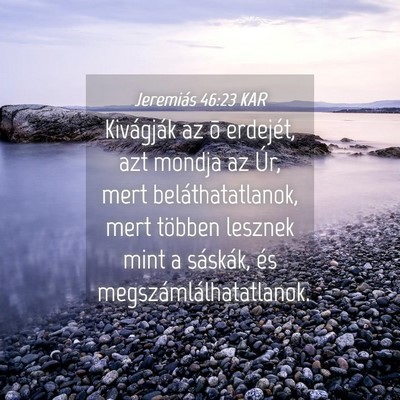 Picture 04 - Jeremiás 46:23 KAR - Kivágják az õ erdejét, azt mondja az Úr, - Bible Verse Picture