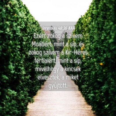 Picture 04 - Jeremiás 48:36 KAR - Ezért zokog a szívem Moábért, mint a síp, - Bible Verse Picture