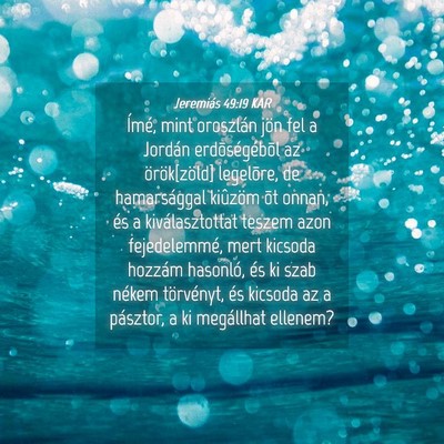 Picture 04 - Jeremiás 49:19 KAR - Ímé, mint oroszlán jön fel a Jordán - Bible Verse Picture