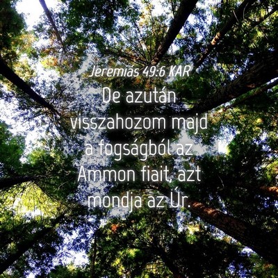 Picture 04 - Jeremiás 49:6 KAR - De azután visszahozom majd a fogságból az - Bible Verse Picture