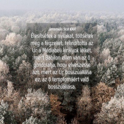 Picture 04 - Jeremiás 51:11 KAR - Élesítsétek a nyilakat, töltsétek meg a - Bible Verse Picture