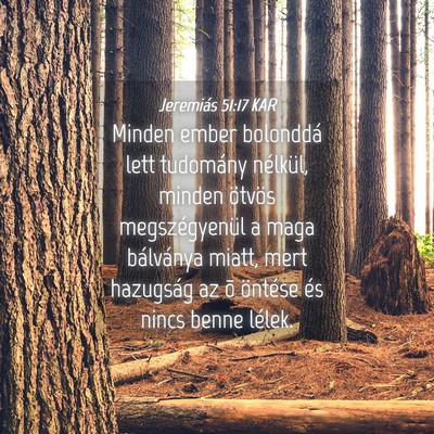 Picture 04 - Jeremiás 51:17 KAR - Minden ember bolonddá lett tudomány nélkül, - Bible Verse Picture