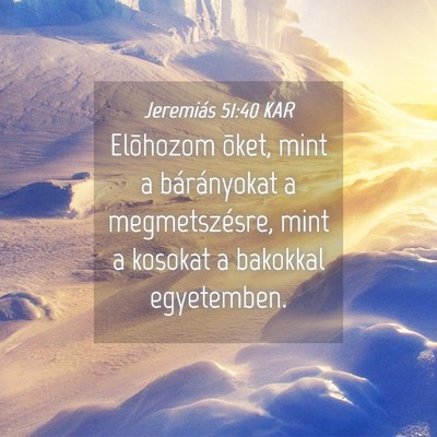 Picture 04 - Jeremiás 51:40 KAR - Elõhozom õket, mint a bárányokat a - Bible Verse Picture