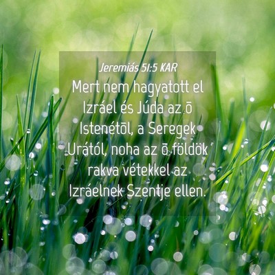 Picture 04 - Jeremiás 51:5 KAR - Mert nem hagyatott el Izráel és Júda az õ - Bible Verse Picture