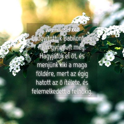 Picture 04 - Jeremiás 51:9 KAR - Gyógyítottuk Babilont, de nem gyógyult meg. - Bible Verse Picture