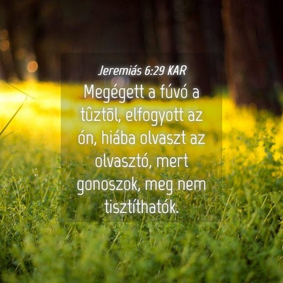 Picture 04 - Jeremiás 6:29 KAR - Megégett a fúvó a tûztõl, elfogyott az ón, - Bible Verse Picture