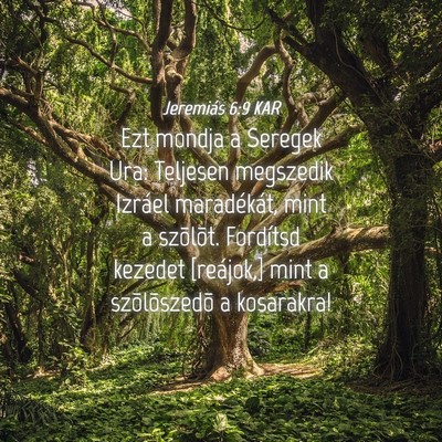 Picture 04 - Jeremiás 6:9 KAR - Ezt mondja a Seregek Ura: Teljesen megszedik - Bible Verse Picture