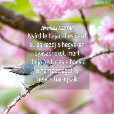 Picture 04 - Jeremiás 7:29 KAR - Nyírd le hajadat és vesd el, és kezdj a - Bible Verse Picture