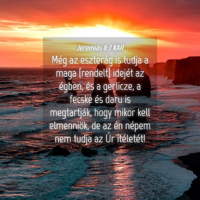 Picture 04 - Jeremiás 8:7 KAR - Még az eszterág is tudja a maga [rendelt] - Bible Verse Picture
