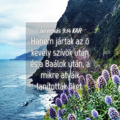 Picture 04 - Jeremiás 9:14 KAR - Hanem jártak az õ kevély szívök után és a - Bible Verse Picture