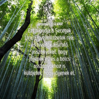 Picture 04 - Jeremiás 9:17 KAR - Ezt mondja a Seregek Ura: Figyelmezzetek reá, - Bible Verse Picture