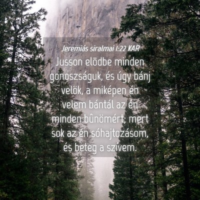 Picture 04 - Jeremiás siralmai 1:22 KAR - Jusson elõdbe minden gonoszságuk, és úgy - Bible Verse Picture