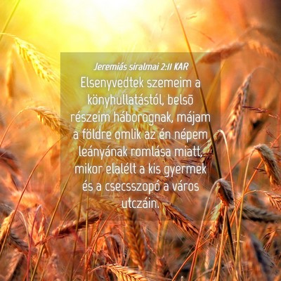 Picture 04 - Jeremiás siralmai 2:11 KAR - Elsenyvedtek szemeim a könyhullatástól, belsõ - Bible Verse Picture