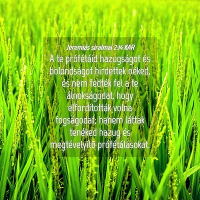 Picture 04 - Jeremiás siralmai 2:14 KAR - A te prófétáid hazugságot és bolondságot - Bible Verse Picture