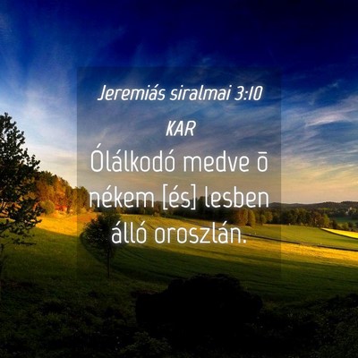 Picture 04 - Jeremiás siralmai 3:10 KAR - Ólálkodó medve õ nékem [és] lesben álló - Bible Verse Picture