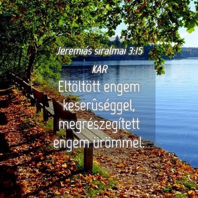 Picture 04 - Jeremiás siralmai 3:15 KAR - Eltöltött engem keserûséggel, - Bible Verse Picture