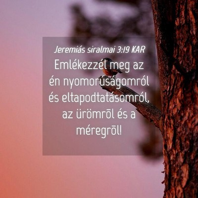 Picture 04 - Jeremiás siralmai 3:19 KAR - Emlékezzél meg az én nyomorúságomról és - Bible Verse Picture