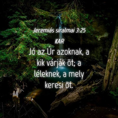 Picture 04 - Jeremiás siralmai 3:25 KAR - Jó az Úr azoknak, a kik várják õt; a - Bible Verse Picture