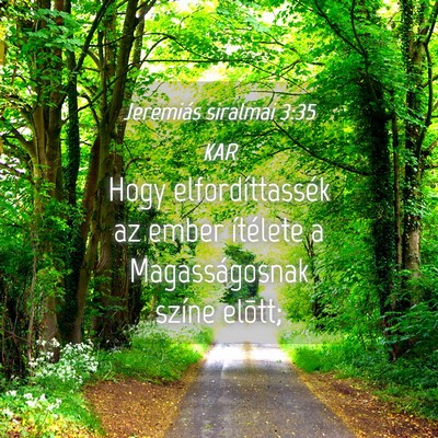 Picture 04 - Jeremiás siralmai 3:35 KAR - Hogy elfordíttassék az ember ítélete a - Bible Verse Picture