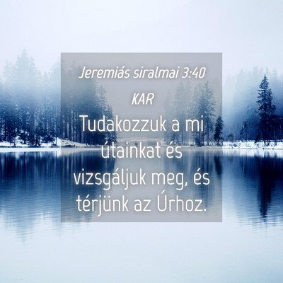 Picture 04 - Jeremiás siralmai 3:40 KAR - Tudakozzuk a mi útainkat és vizsgáljuk meg, - Bible Verse Picture