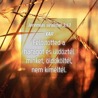 Picture 04 - Jeremiás siralmai 3:43 KAR - Felöltötted a haragot és üldöztél minket, - Bible Verse Picture