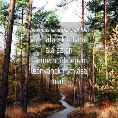 Picture 04 - Jeremiás siralmai 3:48 KAR - Víz-patakok folynak alá az én szemembõl - Bible Verse Picture