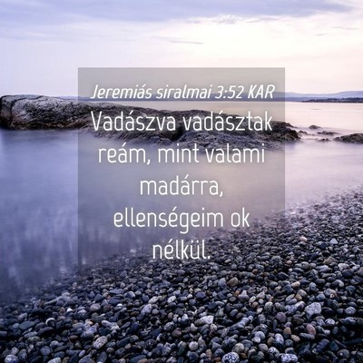 Picture 04 - Jeremiás siralmai 3:52 KAR - Vadászva vadásztak reám, mint valami madárra, - Bible Verse Picture