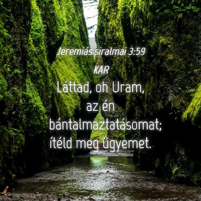 Picture 04 - Jeremiás siralmai 3:59 KAR - Láttad, oh Uram, az én bántalmaztatásomat; - Bible Verse Picture