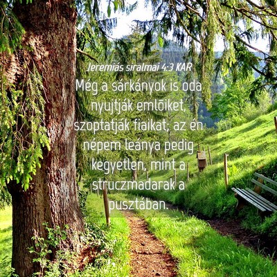 Picture 04 - Jeremiás siralmai 4:3 KAR - Még a sárkányok is oda nyujtják emlõiket, - Bible Verse Picture