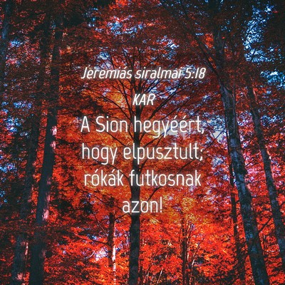 Picture 04 - Jeremiás siralmai 5:18 KAR - A Sion hegyéért, hogy elpusztult; rókák - Bible Verse Picture