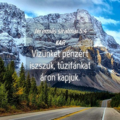 Picture 04 - Jeremiás siralmai 5:4 KAR - Vizünket pénzért iszszuk, tûzifánkat áron - Bible Verse Picture