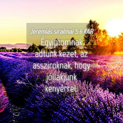 Picture 04 - Jeremiás siralmai 5:6 KAR - Égyiptomnak adtunk kezet, az assziroknak, hogy - Bible Verse Picture
