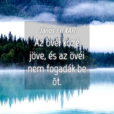 Picture 04 - János 1:11 KAR - Az övéi közé jöve, és az övéi nem - Bible Verse Picture