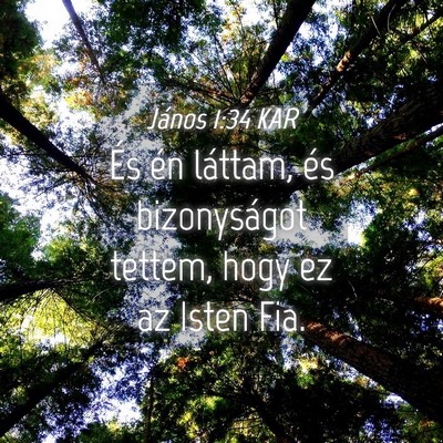 Picture 04 - János 1:34 KAR - És én láttam, és bizonyságot tettem, hogy ez - Bible Verse Picture