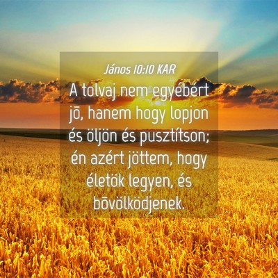 Picture 04 - János 10:10 KAR - A tolvaj nem egyébért jõ, hanem hogy lopjon - Bible Verse Picture