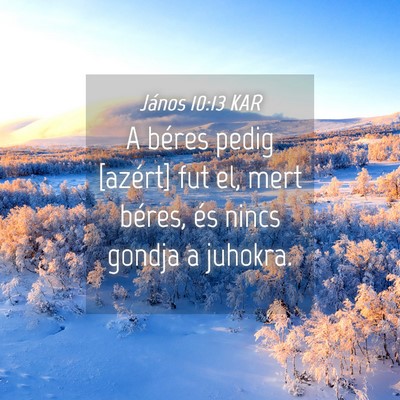 Picture 04 - János 10:13 KAR - A béres pedig [azért] fut el, mert béres, és - Bible Verse Picture
